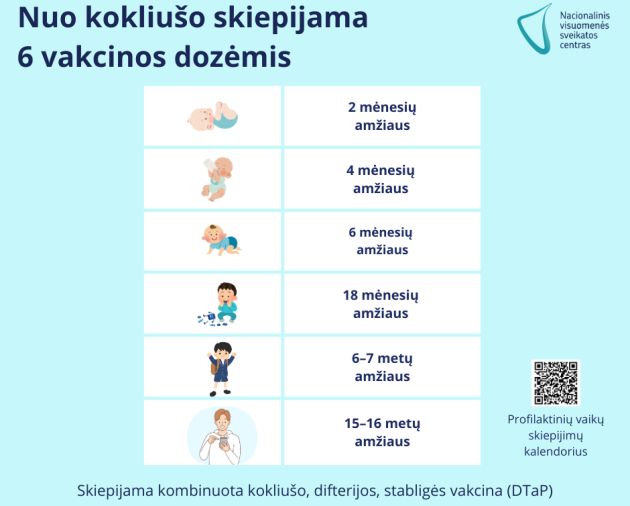 Kokliušas – ne tik paprastas kosulys
