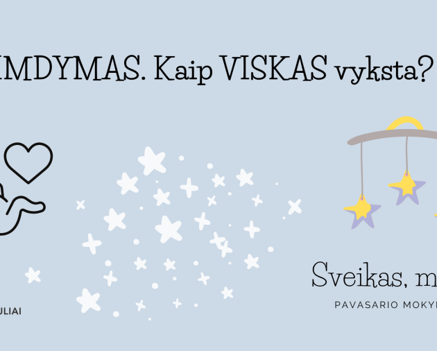 Paskaita „Gimdymas. Kaip VISKAS vyksta?“ (Projektas "Sveikas, mažyli!)