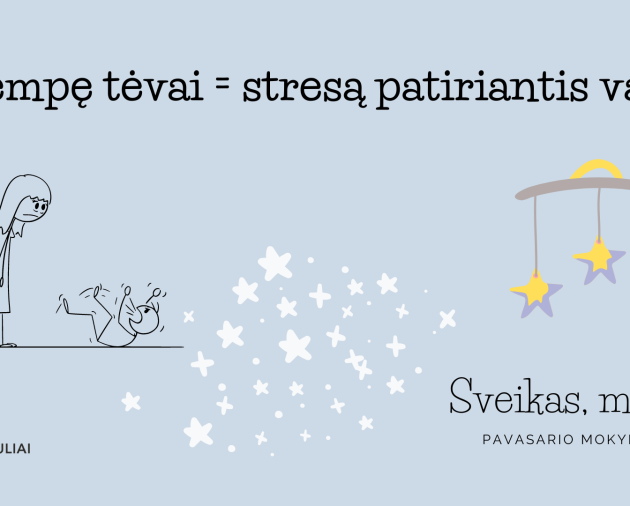 Seminaras „Įsitempę tėvai – stresą patiriantis vaikas“ (Projektas „Sveikas, mažyli!)