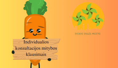 Individualios konsultacijos mitybos klausimais