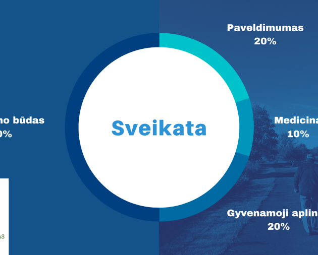 Vyresniojo amžiaus žmonių (65+) fizinis aktyvumas