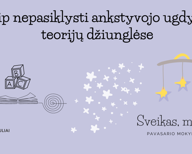 Seminaras „Patyriminės dirbtuvės: kaip nepasiklysti ankstyvojo ugdymo teorijų džiunglėse?“ (Projektas „Sveikas, mažyli!)